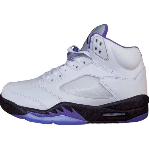 JORDAN 5 RETRO x DARK CONCORD