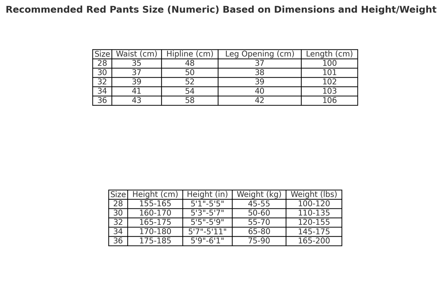 CH CROW HEARTS JEANS