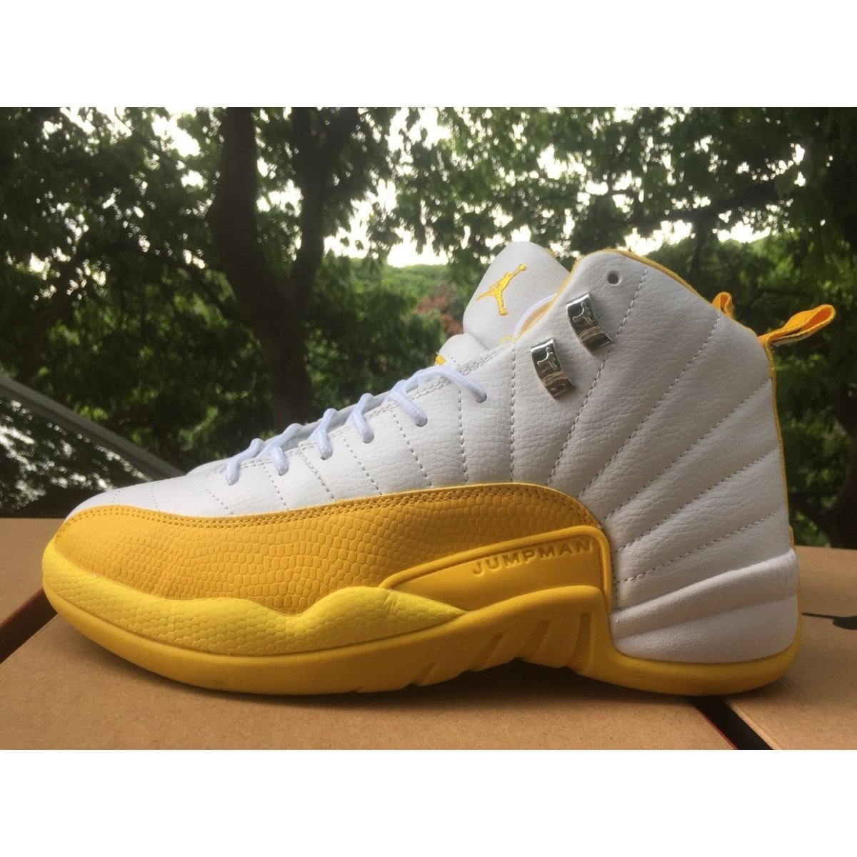 JORDAN 12 RETRO x RAY ALLEN SONICS PE